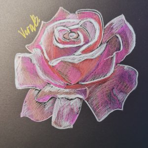 Как нарисовать розу цветными карандашами || Black