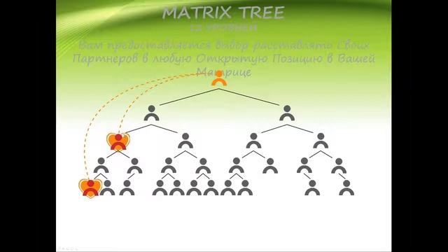 Маркетинг План компании Лайф Фарм - LifePharm смотреть онлайн