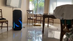 JBL PartyBox 710 Bass test