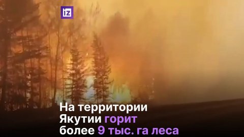 Пожарные борются с лесными пожарами по всей стране