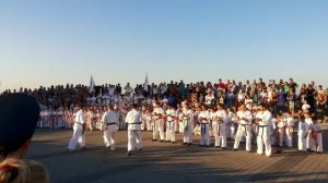 Каратисты ломают головой доски