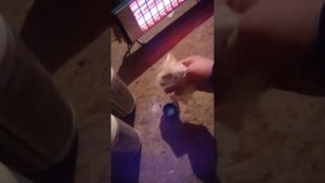 Антифриз BMW проверка.