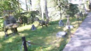 Динолэнд, парк динозавров в Сормовском парке в Нижнем Новгороде