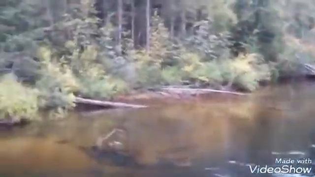 Тойсук конец августа смотреть онлайн