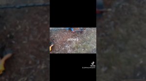 Ванквиш 340. на выбитом месте.