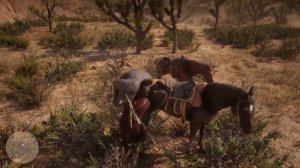 Все ЛЕГЕНДАРНЫЕ животные (RDR2)