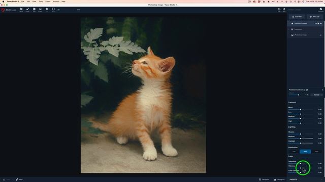 Topaz Studio 2 (My Creative Tool Box) Ep 54 with Practice Image смотреть онлайн