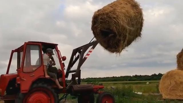 Трактор т 16 на складировании рулонов сена