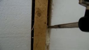 Строим омшаник, пеним стены - зимовка пчел (ч.4)