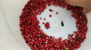 Как быстро перебрать бруснику.