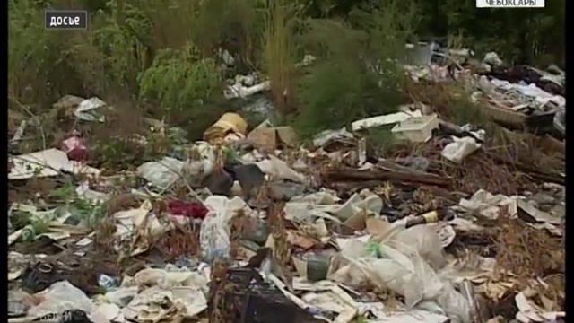 Во время экологического месячника добровольцы посадили в Чебоксарах тысячи деревьев и кустарников