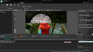 Переход Закрашивание кистью. Бесплатный видеоредактор VSDC Free Video Editor