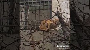 Все мы бабы стервы!!!.mp4