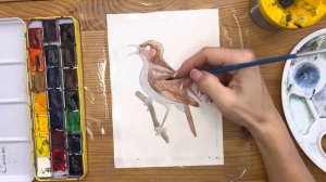Как нарисовать соловья карандашом и акварелью начинающим | Рисунок для детей