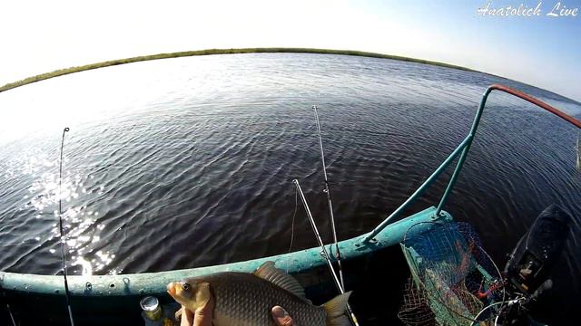 ПОПАЛ на ЖОР СИБИРСКОГО КАРАСЯ! Рыбалка на фидер + джиг 2019 смотреть онлайн