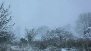 Людмила Зыкина_ Русская метелица.