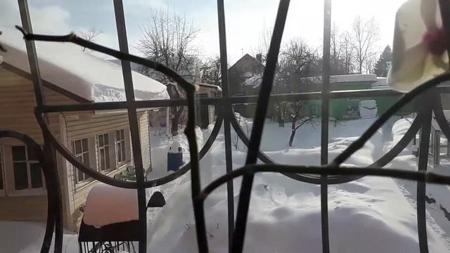 НАЧАЛО ФЕВРАЛЯ ????♀️ ОРХИДЕИ НА ОКОШКЕ ???????. смотреть онлайн