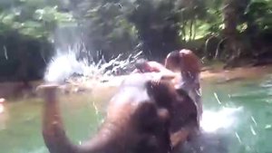 трогал девушку за попу, а муж ничего не заметил