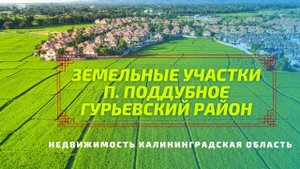 Участки в п. Поддубное | Недвижимость Калининградская область
