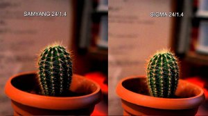 SAMYANG 24mm/1.4 vs SIGMA 30mm/1.4