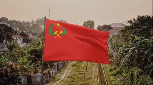 Флаг Народной Республики Конго (1969-1992)