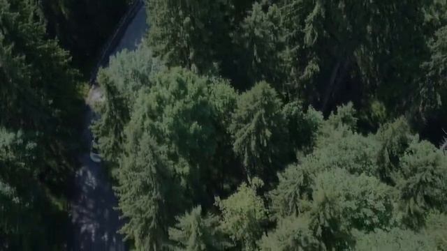 Умный дом в компании Bavura