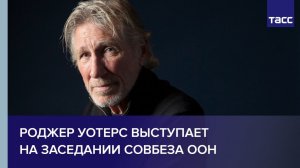 Роджер Уотерс выступает на заседании Совбеза ООН