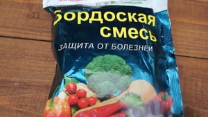 Чем я лечу цветы: клематисы, розы, флоксы