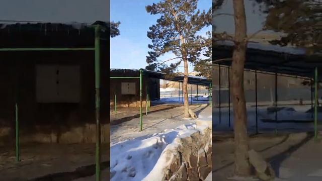 Зима в Макене между кафе Ласточка и цветочным павильоном по бугристому льду 26 ноября 2021 год