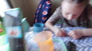 Едем на море/Поезд 115Н Томск Адлер/1 день