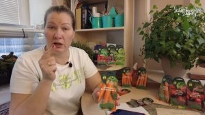 ПРОРЕЖИВАТЬ МОРКОВЬ - ТОЛЬКО МУЧИТЬ СЕБЯ! СЕЙТЕ СРАЗУ СЕМЕНА В ДРАЖЕ!