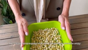 Выращиваем микрозелень гороха в домашних условиях