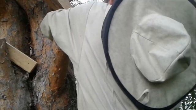 Правильная установка колоды на дереве смотреть онлайн