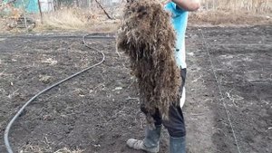 Как быстро посадить малину, не имея саженцев. Как сэкономить на доставке