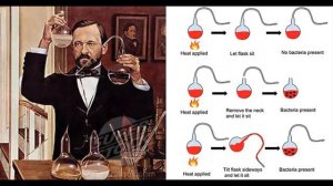 ЛУИ ПАСТЕР - Учёный, опровергнувший теорию о самозарождении жизни