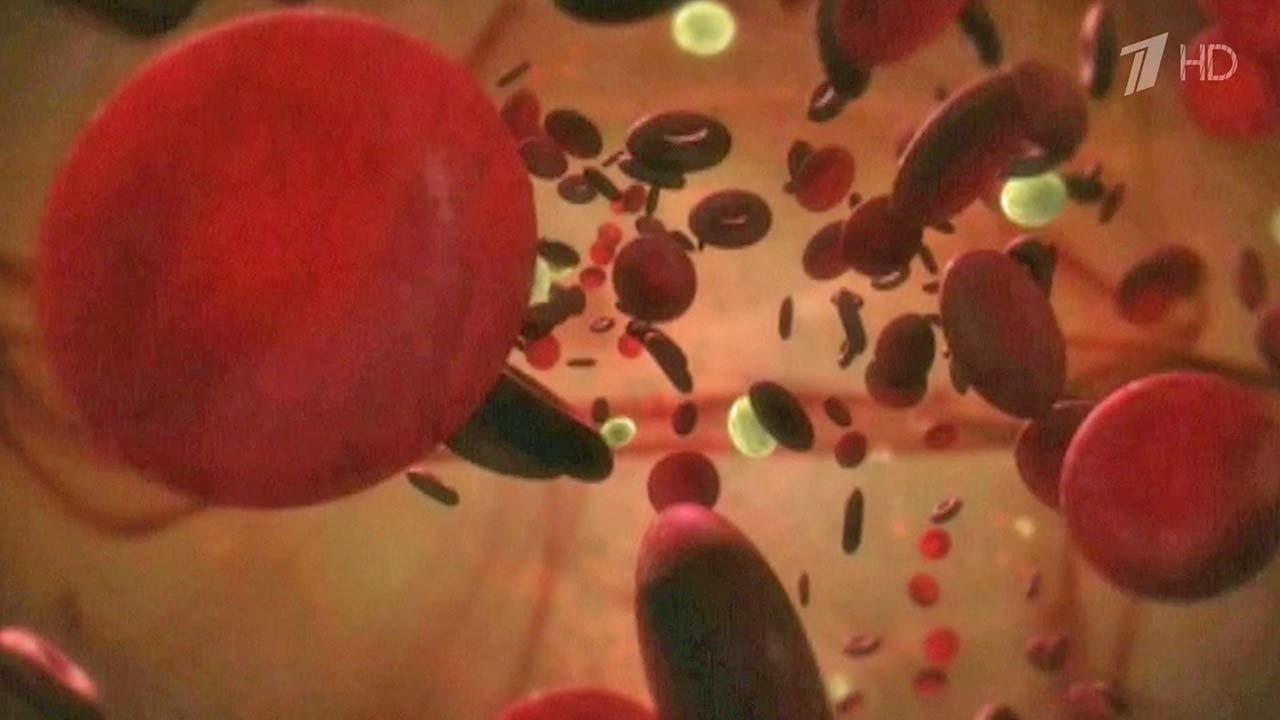 Наша микробиота. Микробы, живущие в кишечнике. Здоровье. Фрагмент выпуска от 18.10.2015
