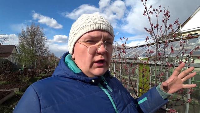 Как спасти цветущий сад при угрозе заморозков?