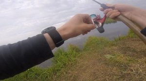 Рыбалка.  Ловля  карпа  на  фидер. Липецкая область. Озеро