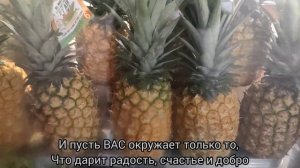предновогодние мысли и прогулка