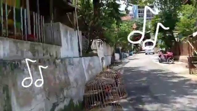 seni tekstil terbaru #kampung #gesekgodhong #semarang смотреть онлайн