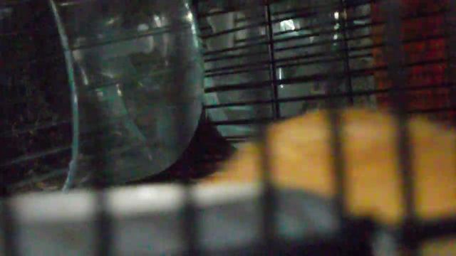 Жан имя смотреть онлайн