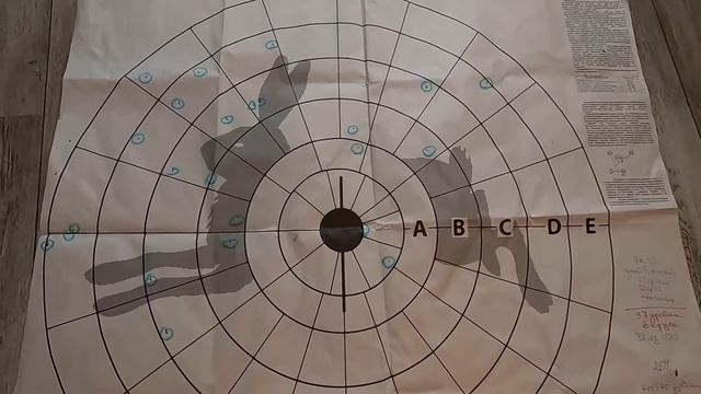 Отстрел по мишени дробового патрона, в контейнере, часть.2 смотреть онлайн