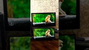 Kivi 32hk30g vs Samsung B651 видео 4к с ютуба