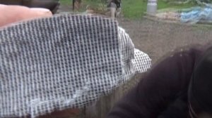 Сколько стоит лом катализатора?