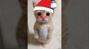 дай мне собраться speed up