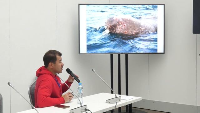 Морские млекопитающие России