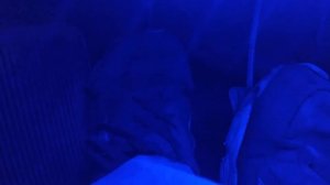 ВАЗ21099 глохнет на задней передаче