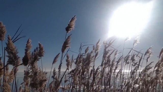 *Уникальнейшая медитация для оздоровления*Пособие для начинающих*