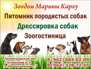 ЗооДом Марины Карху - питомник породистых собак, дрессировка, зоогостиница в Гатчине