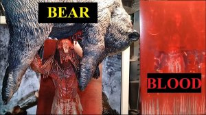 Trophy chase! 2024 Ultimate Bear Blood Feral Predator by Neca from 2022 Film "Prey "!